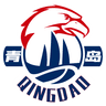 Qingdao Eagles logo