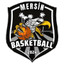Mersin Basketbol Women logo