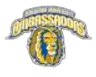 Oakwood logo