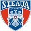 CSU Science Bucharest logo