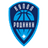 Dome Springs Izhevsk logo