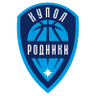 Dome Springs Izhevsk logo