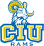 Columbia Internatl logo