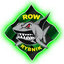 KK ROW Rybnik Women logo