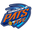 Yamaguchi Patriots logo
