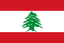 Lebanon Uni logo