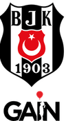 Besiktas GAIN logo
