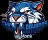 Chichi Albayanos Wild Catz logo - Tat Phuket Whales Vs Chichi Albayanos Wild Catz Scores