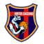 Virtus Cassino logo