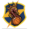 Power Salerno logo - Serie B Basket Power Salerno Vs Npc Rieti Live Score Today