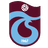 Medical Park Trabzonspor logo