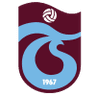 Medical Park Trabzonspor logo
