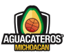 Purepechas de Michoacan Women logo - Mexico Liga Abc W Aztks Women Vs Purepechas De Michoacan Women Schedule