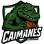 Caimanes del Llano logo