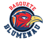 Blumenau Flamenco logo