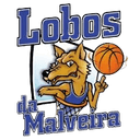 Lobos da Malveira Women logo - Portuguese Div W Cup Lobos Da Malveira Women Vs Nacional Natacao W Live Score