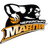 Cherkaski Mavpy logo