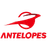 Toyota Antelopes Women logo