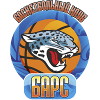 Barsy logo - Khl Barsy Vs Turan Scores
