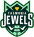 Tasmania Jewels W logo - Wnbl Basketball