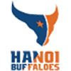 Ha Noi Women logo - Vietnam Wvnl Ho Chi Minh City Women Vs Ha Noi Women Sport