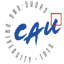 Chung Ang University logo