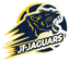 JT Jaguars(w) logo