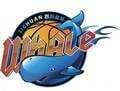 Sichuan Whale U21 logo - China Nbl U Beijing Ducks U Vs Sichuan Whale U Basketball Live