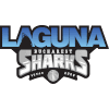 Laguna Bucuresti logo - Romania Liga Csm Focsani Vs Laguna Bucuresti Basketball Score