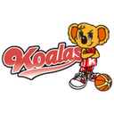 Mitsubishi Electric Dolphins Women logo - Japan Wjbl Mitsubishi Electric Dolphins Women Vs Smbc Tokyo Solua W Live Basketball