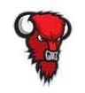 Nilan Bisons logo