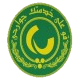 Pascayalan logo - Iran Division Kaleh Tehran Vs Pascayalan Result