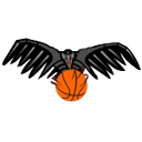 Vrani Vransko logo - Slovenia Upcc Vrani Vransko Vs Bistrica Kety Emmi Basketball