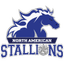 north american logo