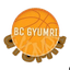 Gyumri Women logo