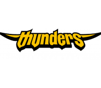 Seoul Samsung Thunders logo