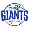 Nelson Giants logo - New Zealand Nbl Wellington Saints Vs Nelson Giants Basketball Live Score