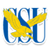 Coppin State logo - Ncaa Howard Bison Vs Coppin State Sport