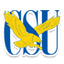 Coppin State logo