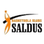 BK Saldus logo
