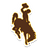 Wyoming Women logo