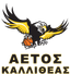 Aetos Kallitheas AO logo