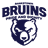 Bankstown Bruin logo