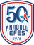 Anadolu Efes Istanbul logo