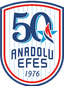 Anadolu Efes Istanbul logo