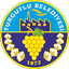 Turgutlu Belediyespor Women logo