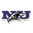 Niagara logo