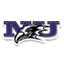 Niagara logo