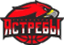 Cheboksary Hawks logo