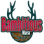 Bambitious Nara logo